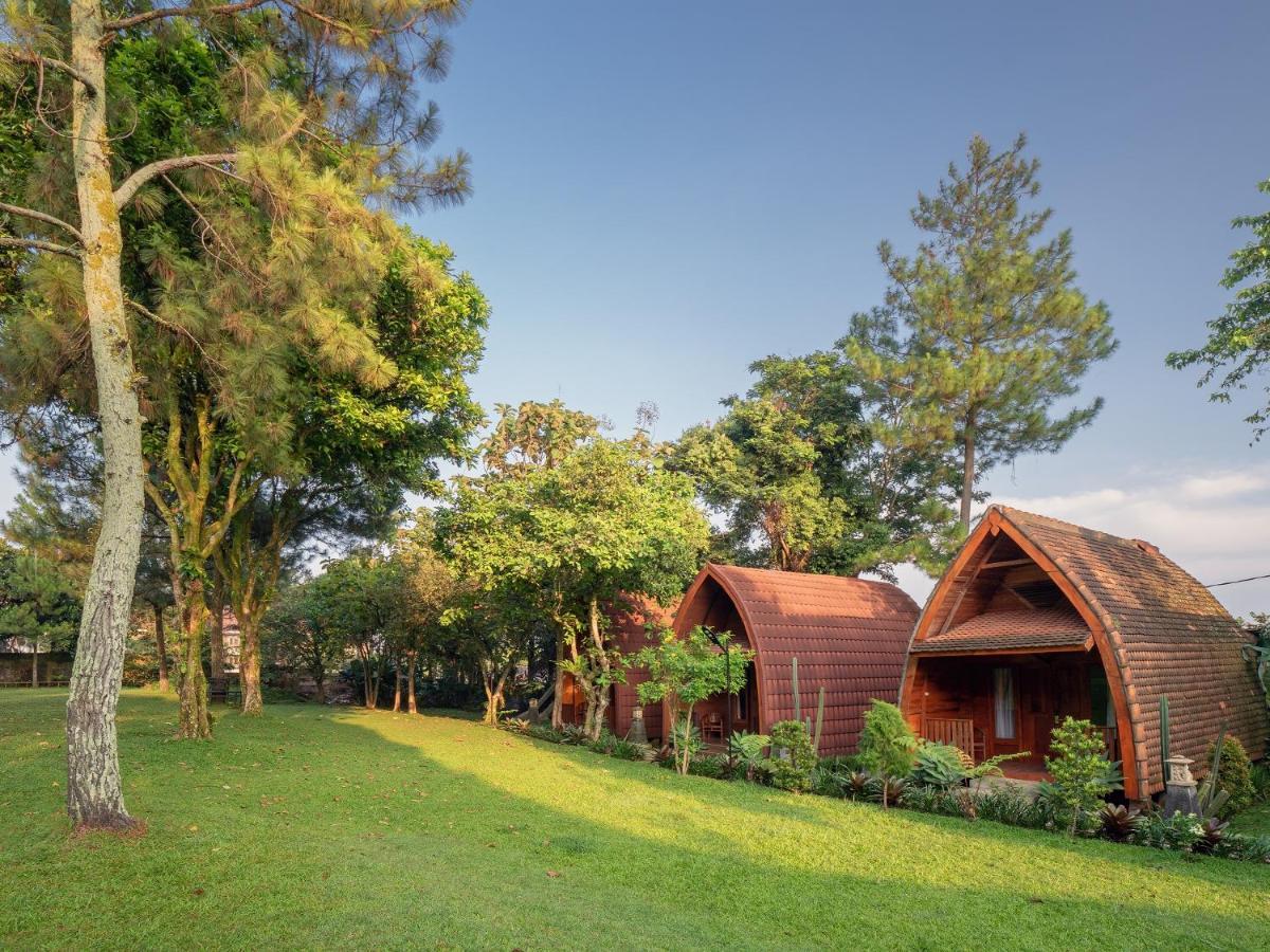 The Village Resort בוגור מראה חיצוני תמונה