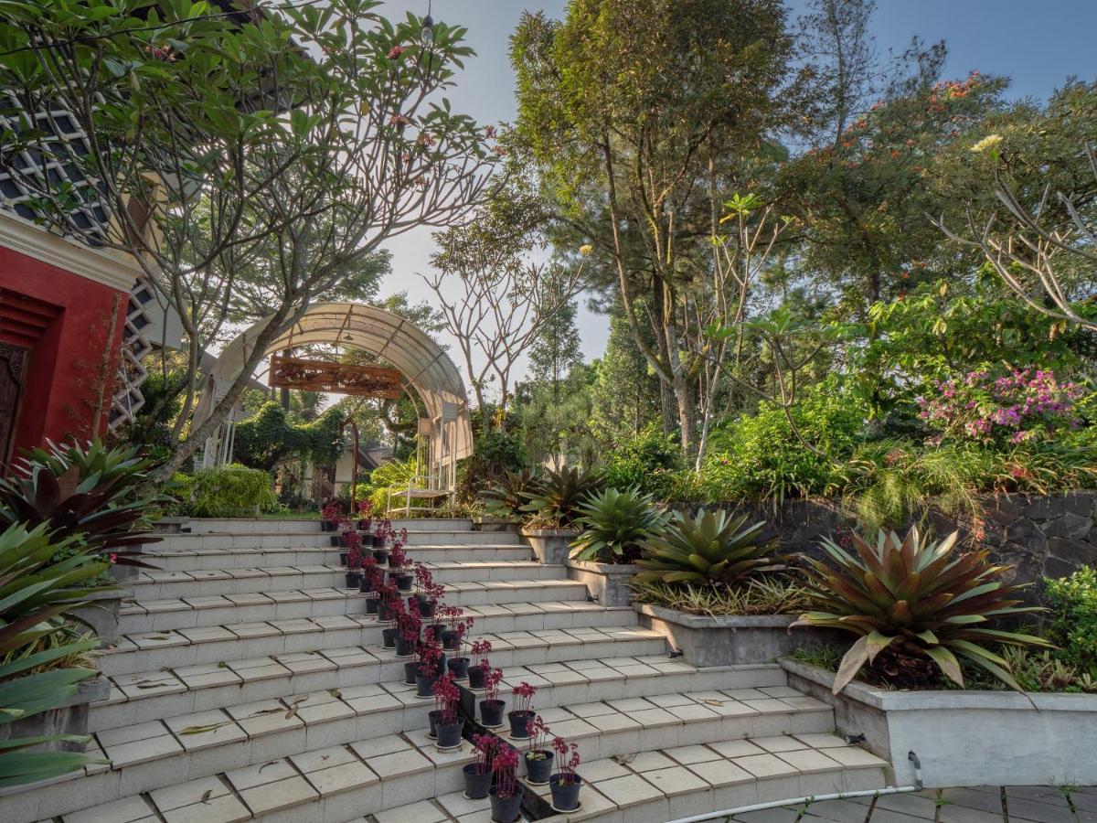 The Village Resort בוגור מראה חיצוני תמונה